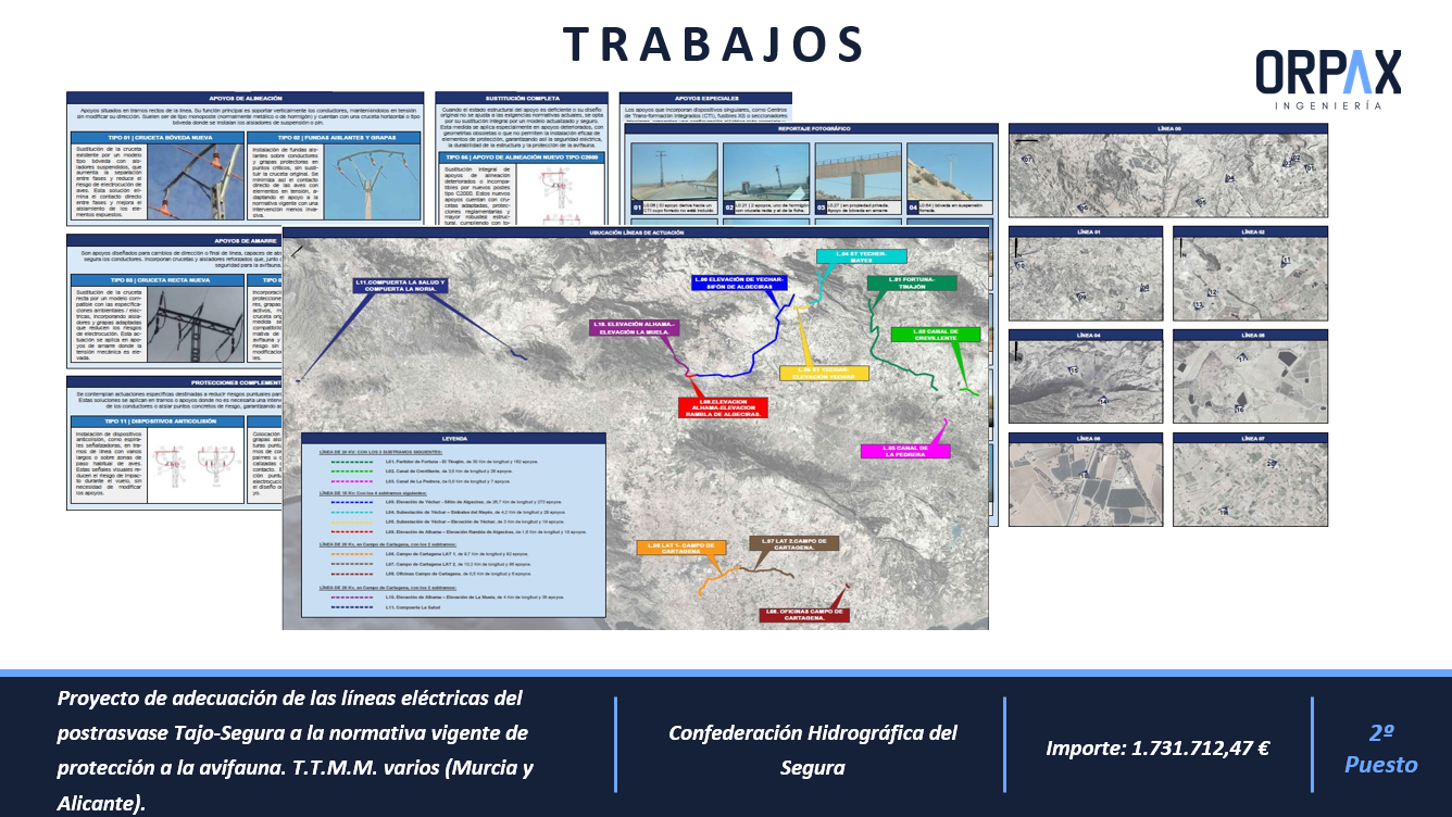 Proyecto de adecuación de las líneas eléctricas del postrasvase Tajo-Segura a la normativa vigente de protección a la avifauna. T.T.M.M. varios (Murcia y Alicante).